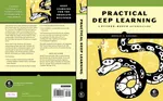Practical Deep Learning: A Python-Based Introduction
