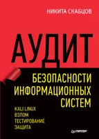 Information Systems Security Audit