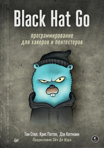 Black Hat Go: Programming for Hackers and Pentesters