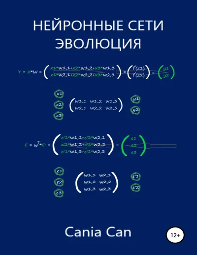 Kan K Neural Networks Evolution 2019
