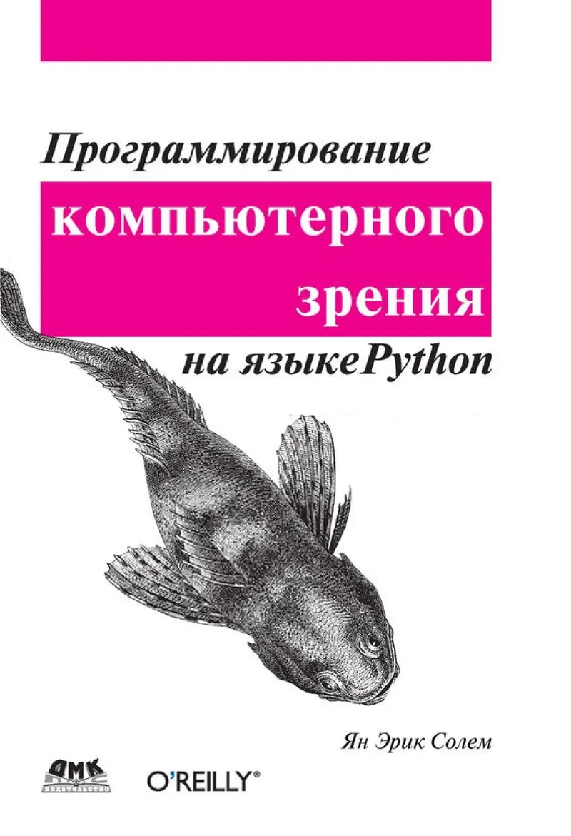 Programming Computer Vision with Python