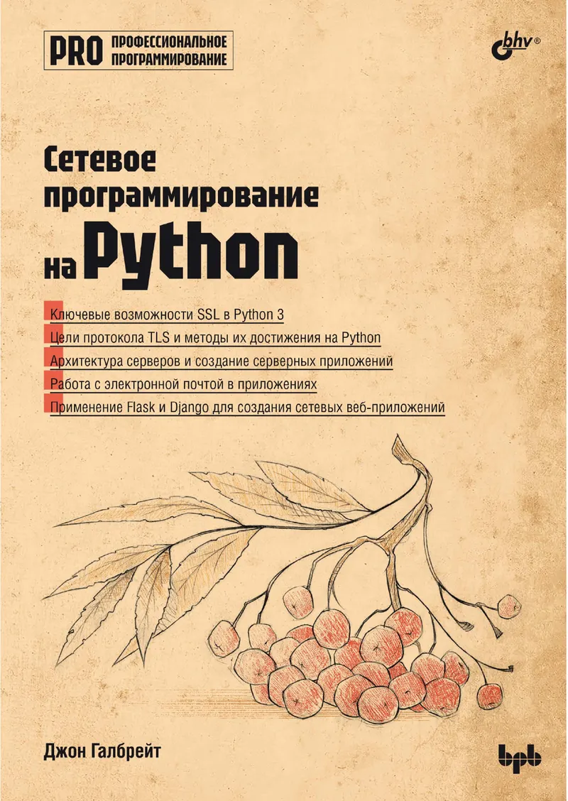Network Programming in Python