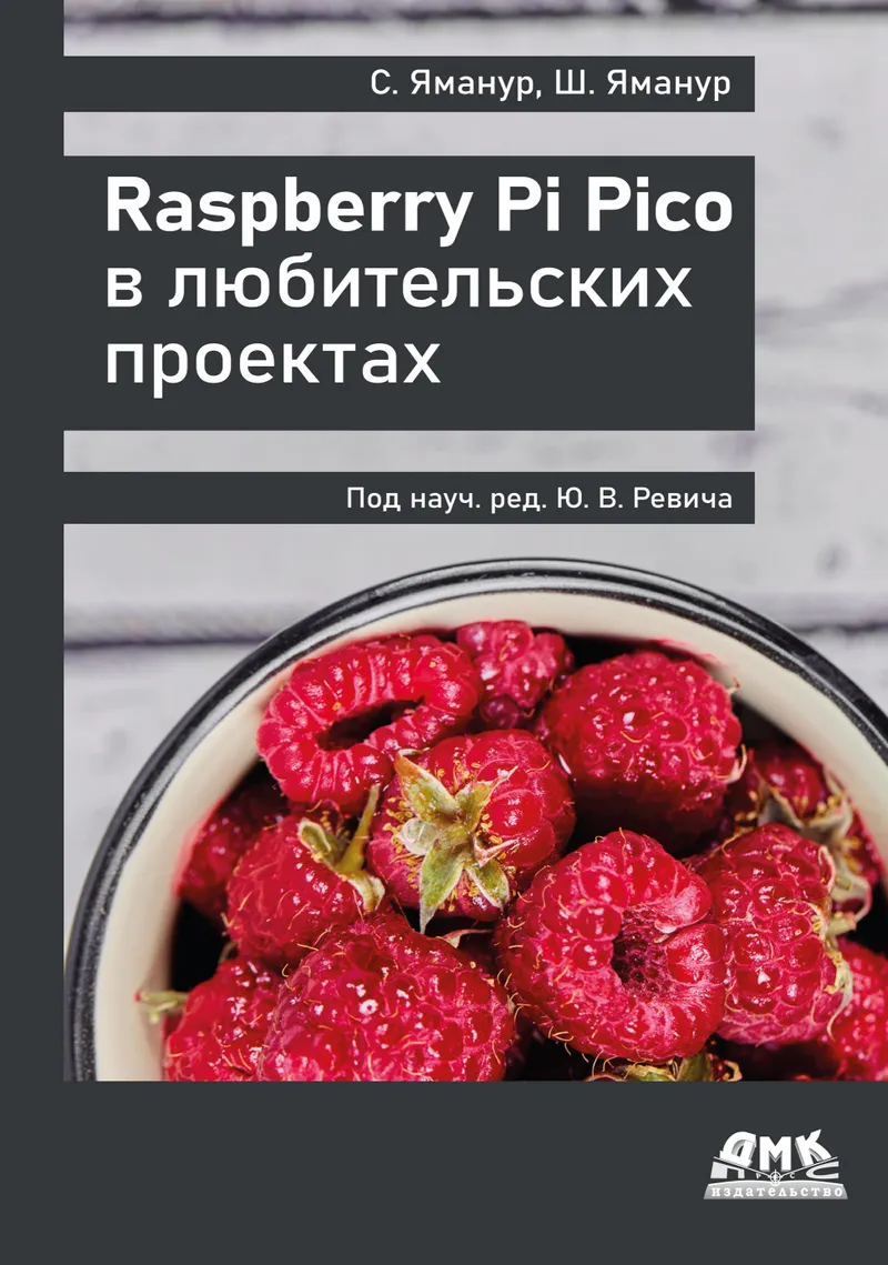 Raspberry Pi Pico in Hobby Projects