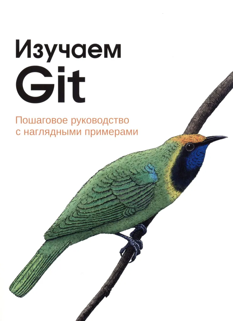 Learning Git: A Step-by-Step Guide with Visual Examples