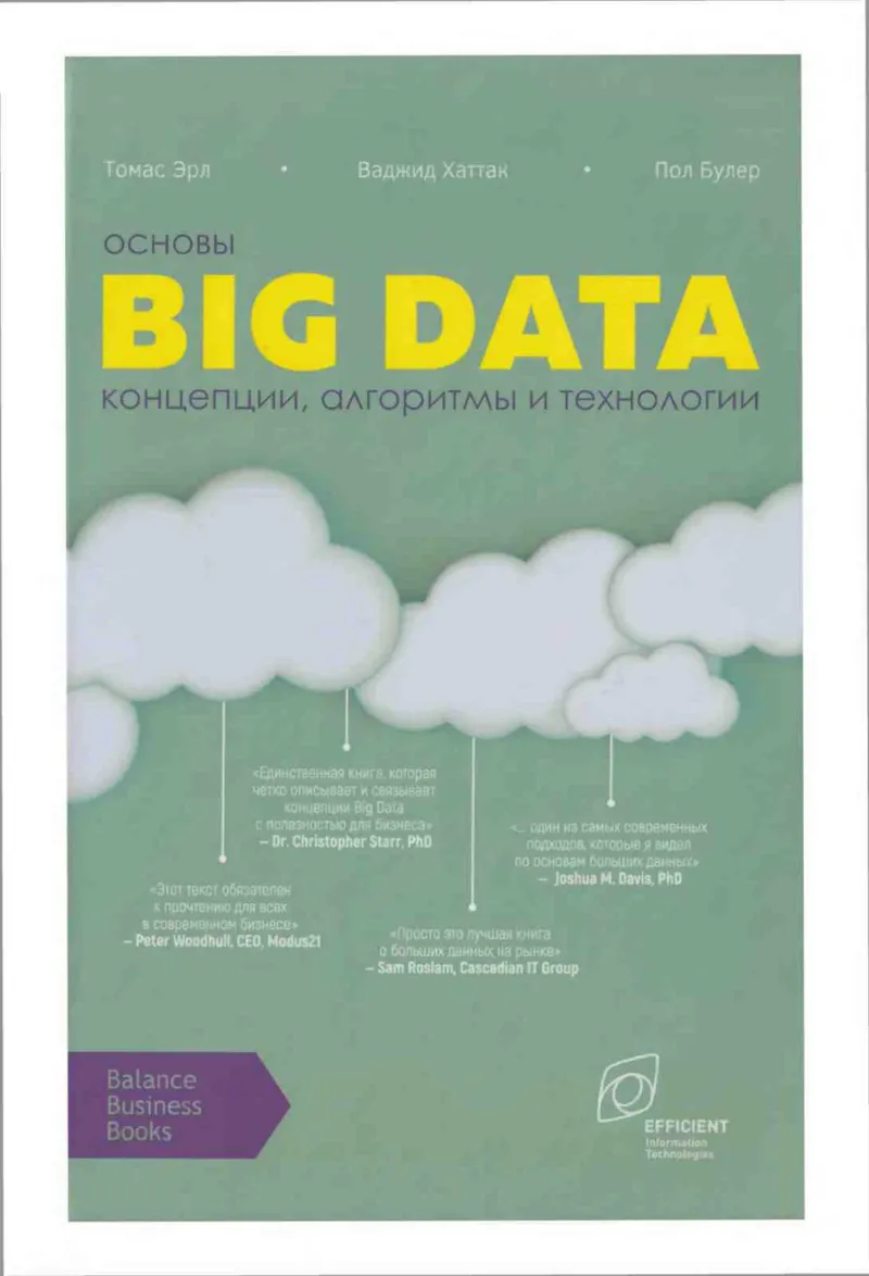 Fundamentals of Big Data.PDF