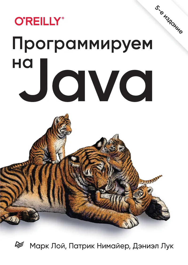 Programming in Java. 5th International Edition