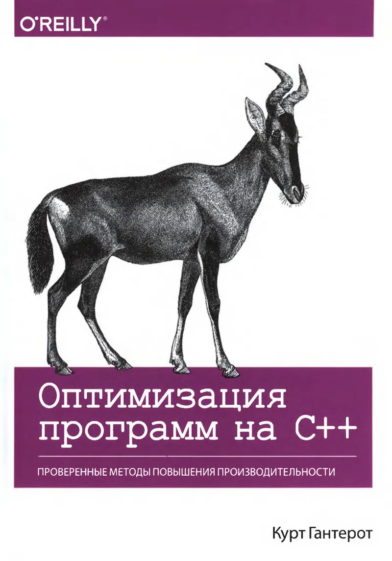 Optimization of C++ Programs