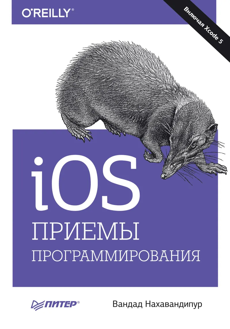 iOS. Programming Techniques