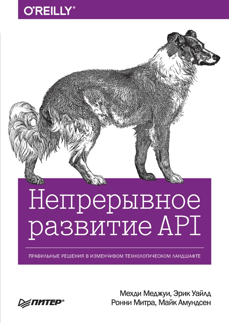 Continuous API Development. Making the Right Decisions in a Changing Technology Landscape